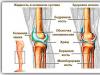 Экссудативно пролиферативный синовит коленного сустава